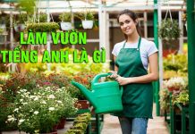 Làm vườn tiếng Anh là gì? Từ vựng về làm vườn làm vườn tiếng anh là gì