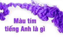 Màu tím tiếng Anh là gì? Ý nghĩa và từ vựng màu tím Màu tím tiếng Anh là gì