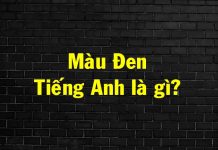 Màu đen tiếng Anh là gì? Ý nghĩa màu đen bằng tiếng Anh màu đen tiếng anh là gì
