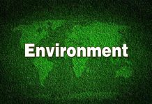 Environment là gì? Từ vựng về chủ đề Environment