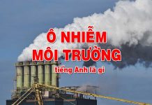 Ô nhiễm môi trường tiếng Anh là gì? Ô nhiễm môi trường tiếng anh là gì