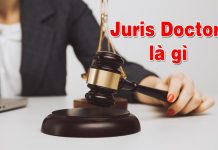 Juris doctor là gì? Điều kiện để học bằng Juris doctor Juris doctor là gì