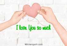 I love you so much là gì? Ý nghĩa như thế nào i love you so much là gì