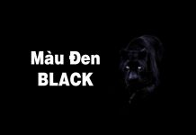 Black là màu gì? Ý nghĩa màu Black trong đời sống Black là màu gì