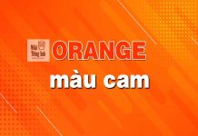 Màu cam tiếng Anh là gì? Ý nghĩa của màu cam màu cam tiếng anh là gì
