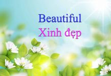 Beautiful là gì? Các từ đồng nghĩa với Beautiful beautiful là gì