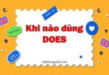 Khi nào dùng does? Những lưu ý khi sử dụng nó Khi nào dùng does