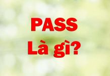 Pass là gì? Ý nghĩa và các ví dụ với Pass pass là gì
