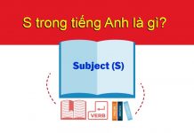S trong tiếng Anh là gì? Các ký tự viết tắt liên quan s trong tiếng anh là gì