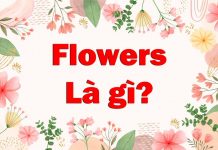 Flowers là gì? Từ vựng và câu giao tiếp chủ đề Flowers flowers là gì