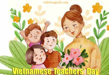 Ngày nhà giáo Việt Nam tiếng Anh là gì? ngày nhà giáo việt nam tiếng anh là gì