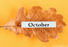 OCTOBER LÀ THÁNG MẤY TRONG TIẾNG ANH october là tháng mấy