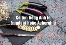 Cà tím tiếng Anh là gì? Định nghĩa và ví dụ Cà tím tiếng Anh là gì