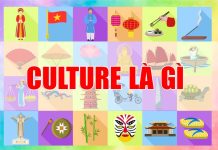 Culture là gì? Từ vựng và bài viết mẫu chủ đề Culture culture là gì