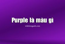 Purple là màu gì? Ý nghĩa và các ví dụ liên quan purple là màu gì