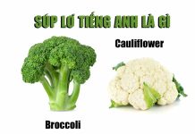 Súp lơ tiếng Anh là gì? Từ vựng về các loại rau củ súp lơ tiếng anh là gì
