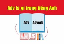 Adv trong tiếng Anh là gì? Vị trí của Trạng từ trong tiếng Anh adv trong tiếng anh là gì