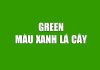 Green là màu gì? Ý nghĩa màu xanh lá cây bằng tiếng Anh green là màu gì