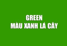 Green là màu gì? Ý nghĩa màu xanh lá cây bằng tiếng Anh green là màu gì