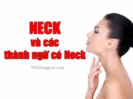 neck là gì