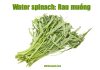 Rau muống tiếng anh là gì? Rau muống xào tỏi tiếng Anh là gì? rau muống tiếng anh là gì