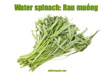 Rau muống tiếng anh là gì? Rau muống xào tỏi tiếng Anh là gì? rau muống tiếng anh là gì