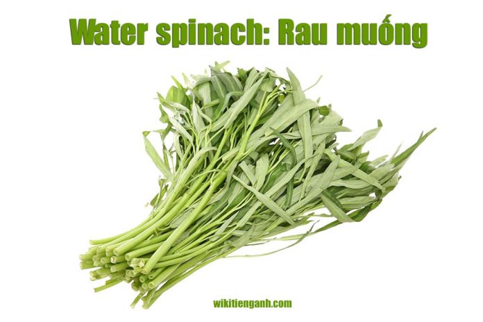 rau muống tiếng anh là gì