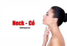 Cái cổ tiếng Anh là gì? Từ vựng tiếng Anh về body Cái cổ tiếng Anh là gì